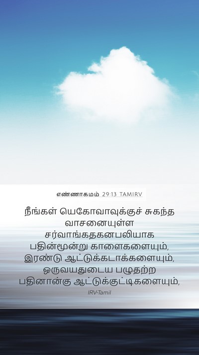 எண்ணாகமம் 29:13 TAMIRV Bible Verse Image