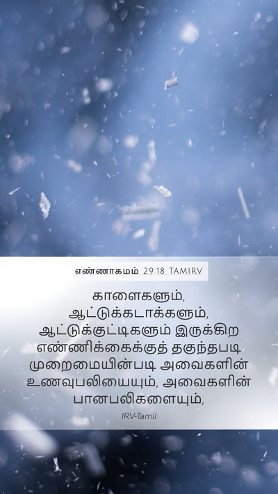 எண்ணாகமம் 29:18 TAMIRV Bible Verse Image