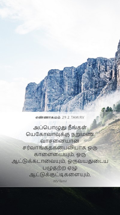 எண்ணாகமம் 29:2 TAMIRV Mobile Phone Wallpaper - அப்பொழுது நீங்கள் - Mobile Bible Verse Wallpaper