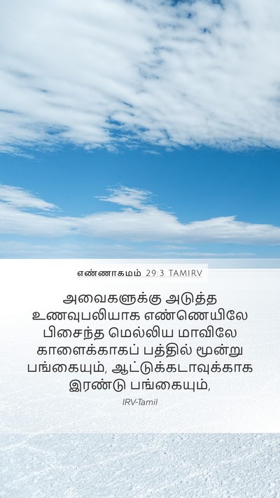 எண்ணாகமம் 29:3 TAMIRV Mobile Phone Wallpaper - அவைகளுக்கு அடுத்த - Mobile Bible Verse Wallpaper