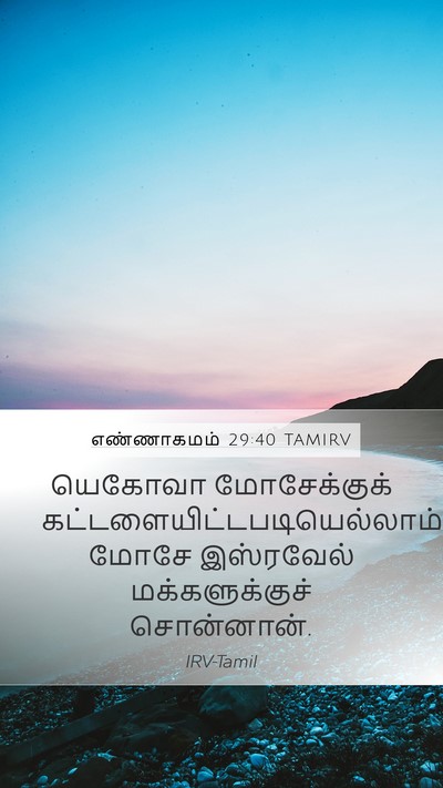 எண்ணாகமம் 29:40 TAMIRV Bible Verse Image