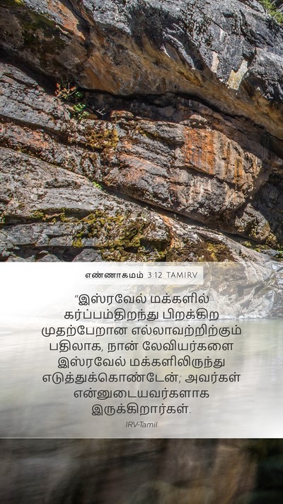 எண்ணாகமம் 3:12 TAMIRV Bible Verse Image