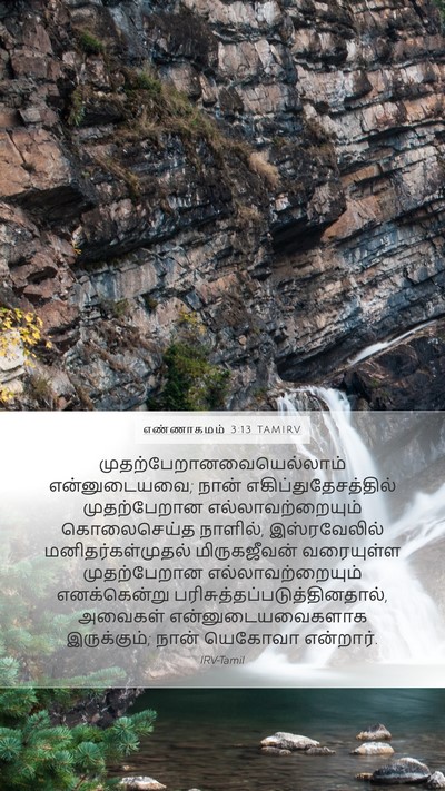 எண்ணாகமம் 3:13 TAMIRV Bible Verse Image