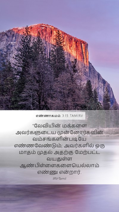 எண்ணாகமம் 3:15 TAMIRV Bible Verse Image