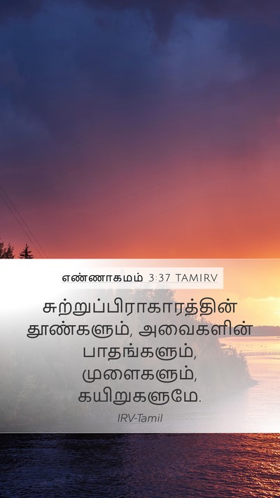 எண்ணாகமம் 3:37 TAMIRV Mobile Phone Wallpaper -  - Mobile Bible Verse Wallpaper