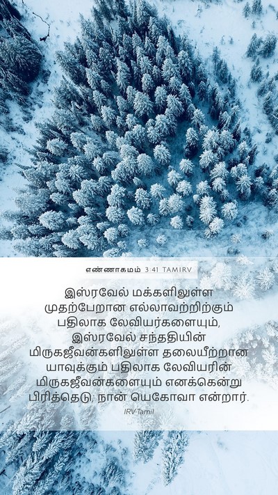 எண்ணாகமம் 3:41 TAMIRV Bible Verse Image