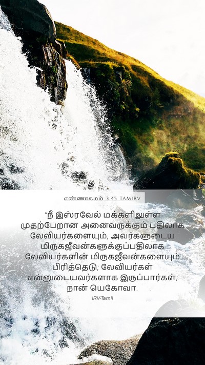 எண்ணாகமம் 3:45 TAMIRV Bible Verse Image