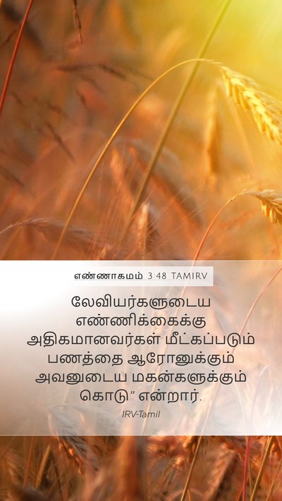 எண்ணாகமம் 3:48 TAMIRV Bible Verse Image