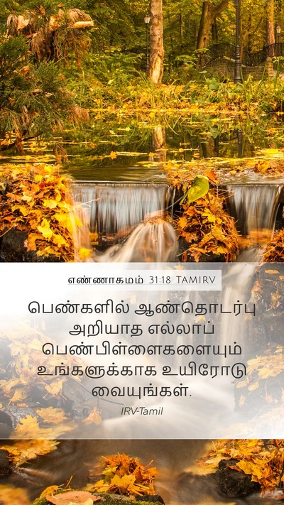 எண்ணாகமம் 31:18 TAMIRV Bible Verse Image