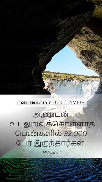 எண்ணாகமம் 31:35 TAMIRV Mobile Phone Wallpaper - ஆணுடன் - Mobile Bible Verse Wallpaper