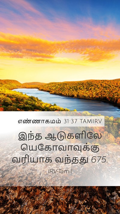 எண்ணாகமம் 31:37 TAMIRV Bible Verse Image