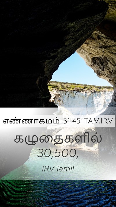 எண்ணாகமம் 31:45 TAMIRV Mobile Phone Wallpaper - கழுதைகளில் - Mobile Bible Verse Wallpaper