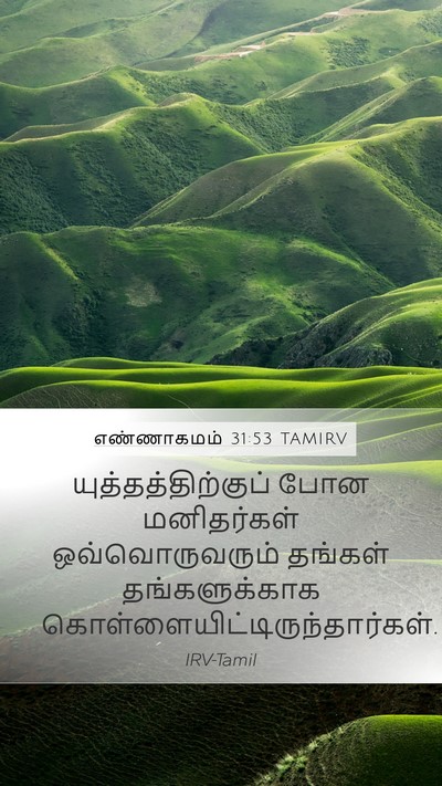 எண்ணாகமம் 31:53 TAMIRV Mobile Phone Wallpaper - யுத்தத்திற்குப் - Mobile Bible Verse Wallpaper
