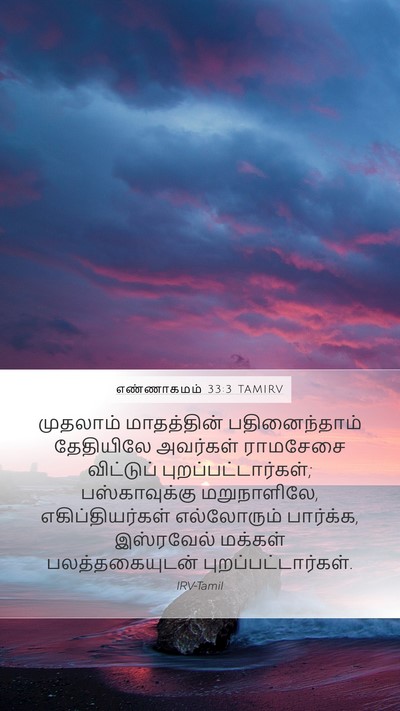 எண்ணாகமம் 33:3 TAMIRV Mobile Phone Wallpaper - முதலாம் மாதத்தின் - Mobile Bible Verse Wallpaper