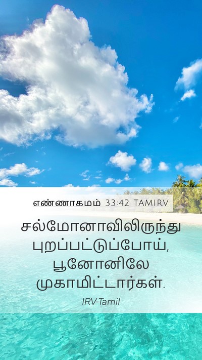 எண்ணாகமம் 33:42 TAMIRV Mobile Phone Wallpaper -  - Mobile Bible Verse Wallpaper