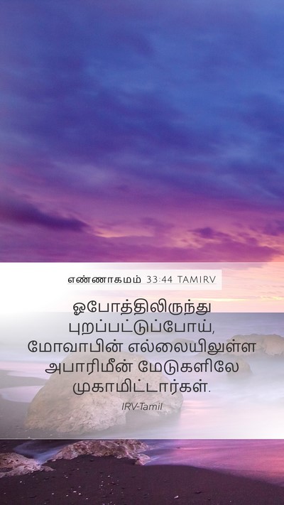 எண்ணாகமம் 33:44 TAMIRV Mobile Phone Wallpaper - ஓபோத்திலிருந்து - Mobile Bible Verse Wallpaper