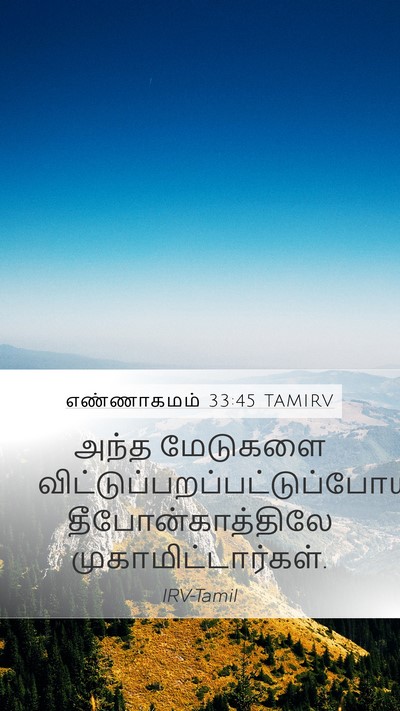 எண்ணாகமம் 33:45 TAMIRV Bible Verse Image