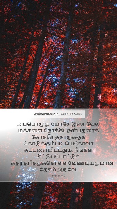 எண்ணாகமம் 34:13 TAMIRV Bible Verse Image
