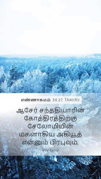 எண்ணாகமம் 34:27 TAMIRV Mobile Phone Wallpaper - ஆசேர் - Mobile Bible Verse Wallpaper