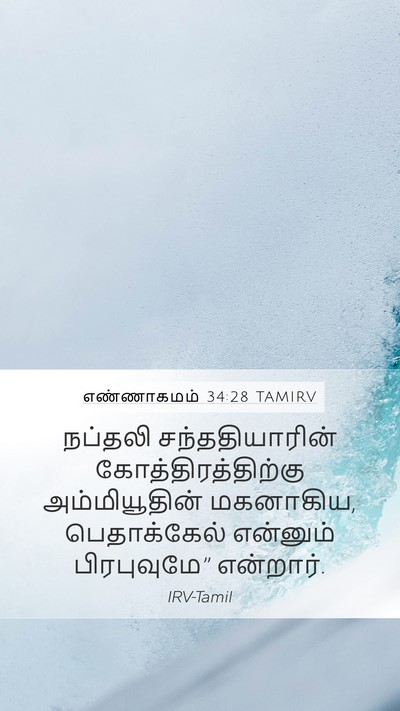 எண்ணாகமம் 34:28 TAMIRV Mobile Phone Wallpaper - நப்தலி - Mobile Bible Verse Wallpaper
