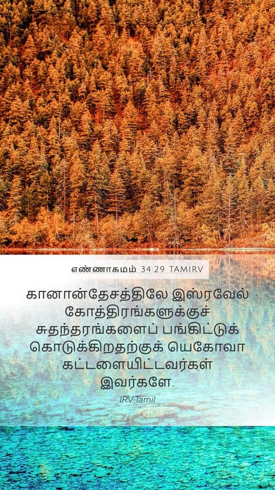 எண்ணாகமம் 34:29 TAMIRV Mobile Phone Wallpaper - கானான்தேசத்திலே - Mobile Bible Verse Wallpaper