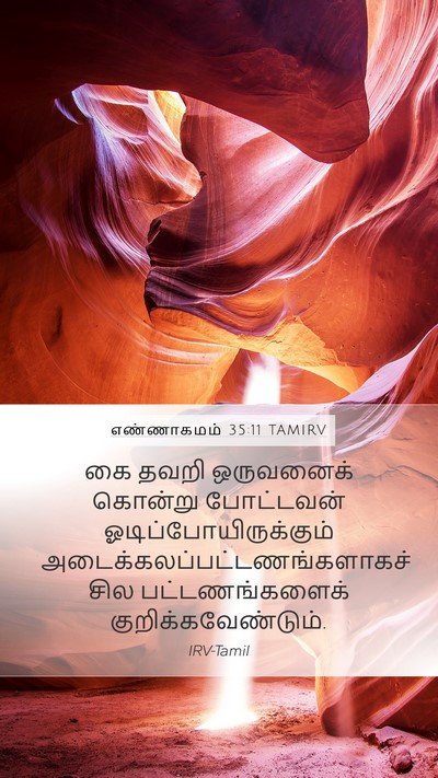 எண்ணாகமம் 35:11 TAMIRV Bible Verse Image
