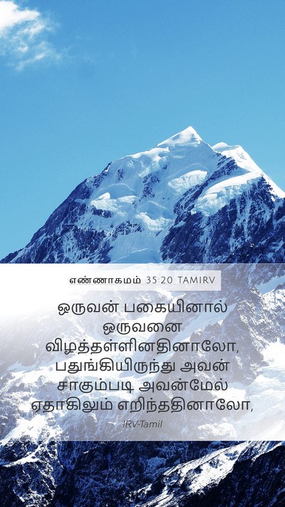 எண்ணாகமம் 35:20 TAMIRV Mobile Phone Wallpaper - ஒருவன் பகையினால் - Mobile Bible Verse Wallpaper