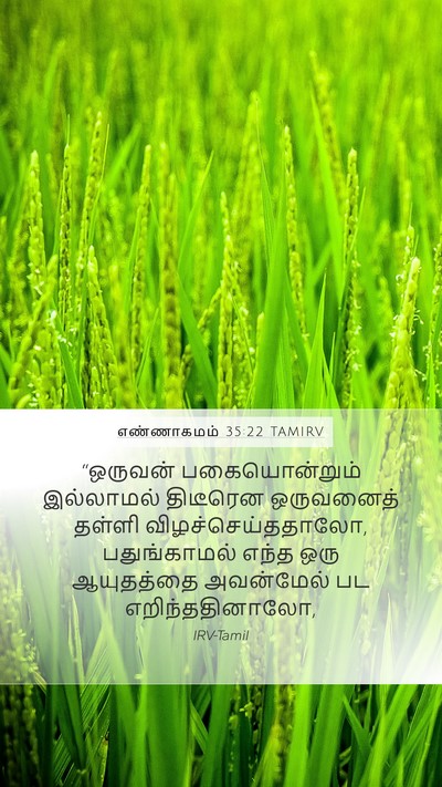 எண்ணாகமம் 35:22 TAMIRV Bible Verse Image