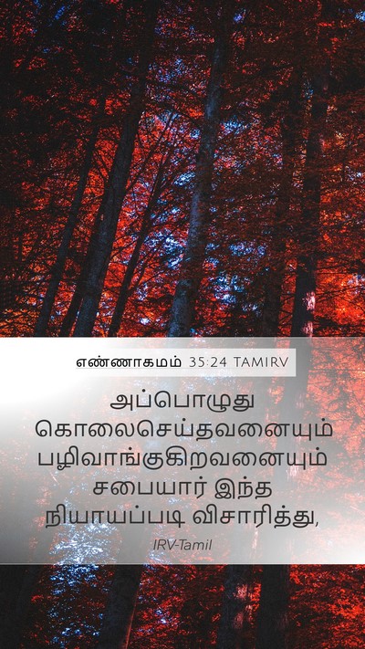 எண்ணாகமம் 35:24 TAMIRV Bible Verse Image
