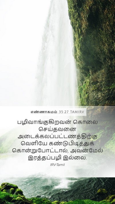 எண்ணாகமம் 35:27 TAMIRV Bible Verse Image