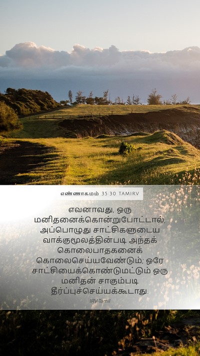 எண்ணாகமம் 35:30 TAMIRV Bible Verse Image