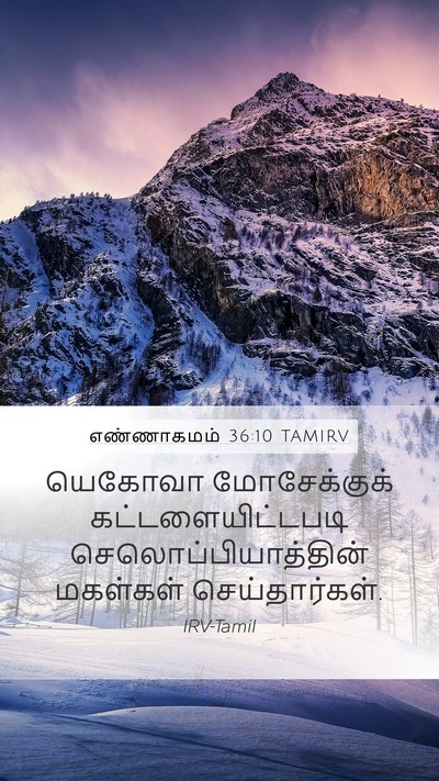 எண்ணாகமம் 36:10 TAMIRV Bible Verse Image