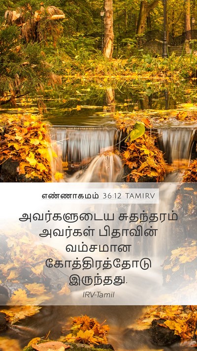 எண்ணாகமம் 36:12 TAMIRV Mobile Phone Wallpaper - அவர்களுடைய - Mobile Bible Verse Wallpaper