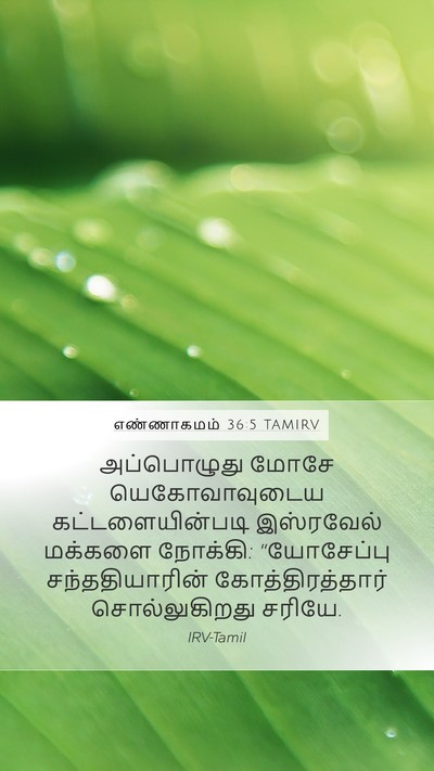எண்ணாகமம் 36:5 TAMIRV Bible Verse Image
