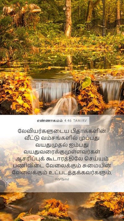 எண்ணாகமம் 4:46 TAMIRV Mobile Phone Wallpaper - லேவியர்களுடைய - Mobile Bible Verse Wallpaper