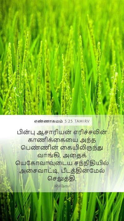 எண்ணாகமம் 5:25 TAMIRV Bible Verse Image