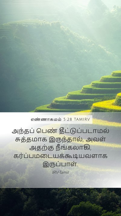 எண்ணாகமம் 5:28 TAMIRV Mobile Phone Wallpaper - அந்தப் பெண் - Mobile Bible Verse Wallpaper