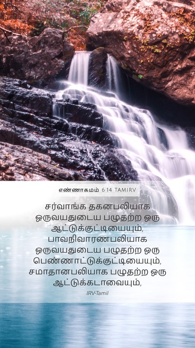 எண்ணாகமம் 6:14 TAMIRV Mobile Phone Wallpaper - சர்வாங்க - Mobile Bible Verse Wallpaper