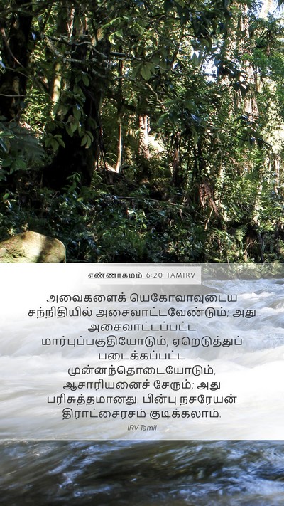எண்ணாகமம் 6:20 TAMIRV Bible Verse Image