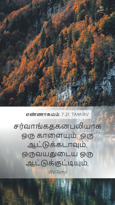 எண்ணாகமம் 7:21 TAMIRV Mobile Phone Wallpaper -  - Mobile Bible Verse Wallpaper