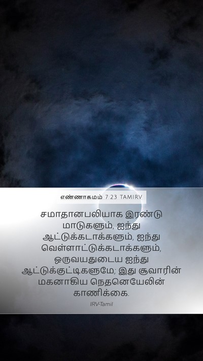 எண்ணாகமம் 7:23 TAMIRV Bible Verse Image