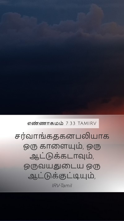 எண்ணாகமம் 7:33 TAMIRV Mobile Phone Wallpaper -  - Mobile Bible Verse Wallpaper