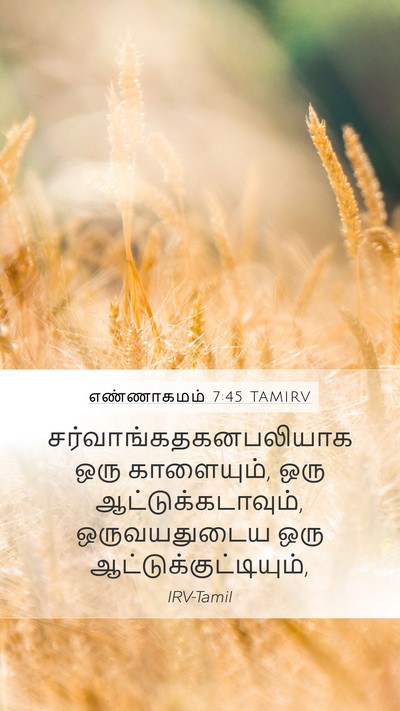 எண்ணாகமம் 7:45 TAMIRV Mobile Phone Wallpaper -  - Mobile Bible Verse Wallpaper
