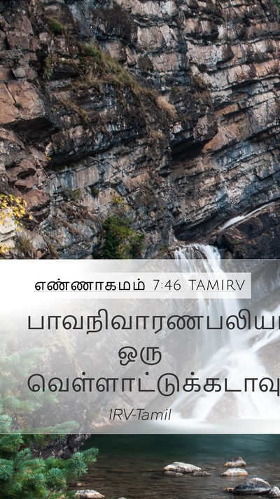 எண்ணாகமம் 7:46 TAMIRV Mobile Phone Wallpaper - பாவநிவாரணபலியாக - Mobile Bible Verse Wallpaper