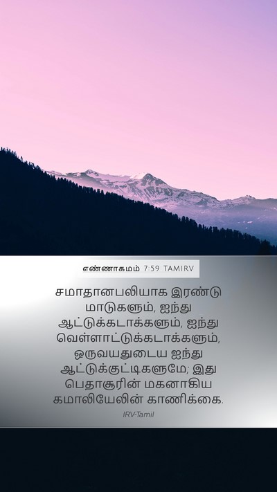 எண்ணாகமம் 7:59 TAMIRV Mobile Phone Wallpaper - சமாதானபலியாக - Mobile Bible Verse Wallpaper