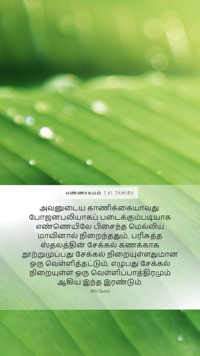 எண்ணாகமம் 7:61 TAMIRV Mobile Phone Wallpaper - அவனுடைய - Mobile Bible Verse Wallpaper