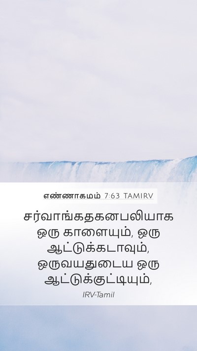 எண்ணாகமம் 7:63 TAMIRV Mobile Phone Wallpaper -  - Mobile Bible Verse Wallpaper