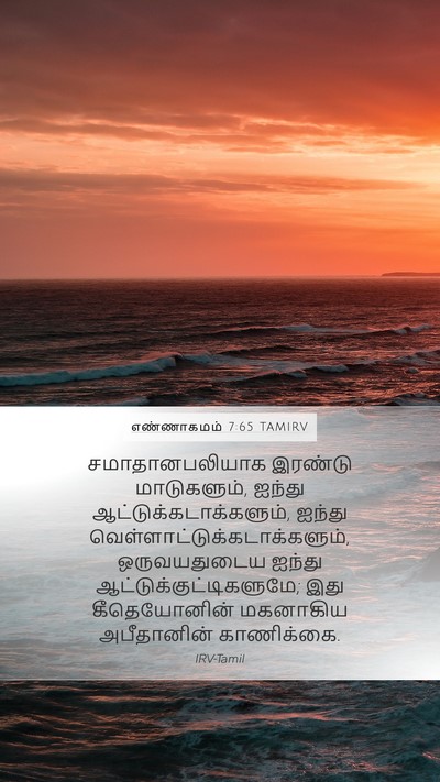 எண்ணாகமம் 7:65 TAMIRV Bible Verse Image