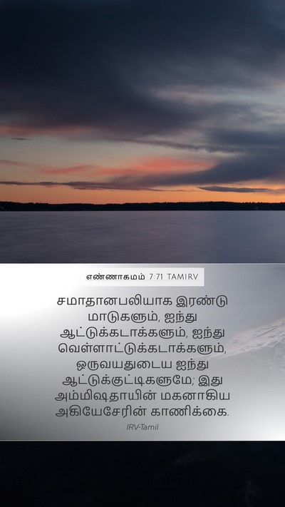 எண்ணாகமம் 7:71 TAMIRV Mobile Phone Wallpaper - சமாதானபலியாக - Mobile Bible Verse Wallpaper