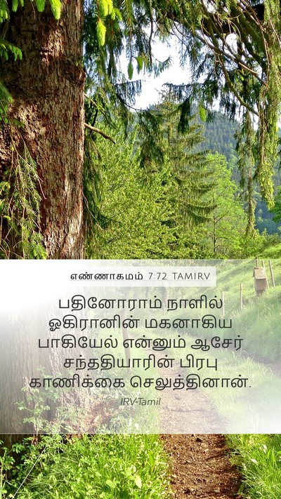 எண்ணாகமம் 7:72 TAMIRV Bible Verse Image